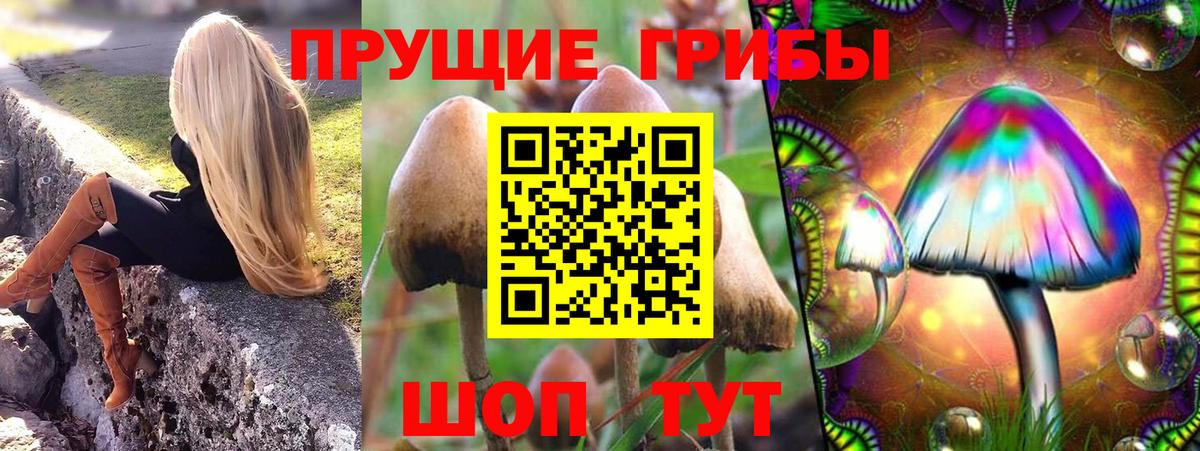 как найти закладки  Галлюциногенные грибы MAGIC MUSHROOMS  Ижевск  Вход с VPN  Псилоцибиновые грибы Psilocybine cubensis 